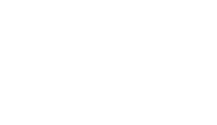 The American University in Cairo